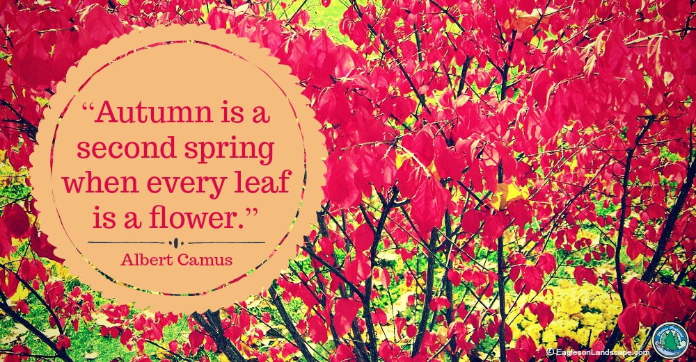 Flowering Wisdom | Gardening Quotes - Eagleson Landscape Co.